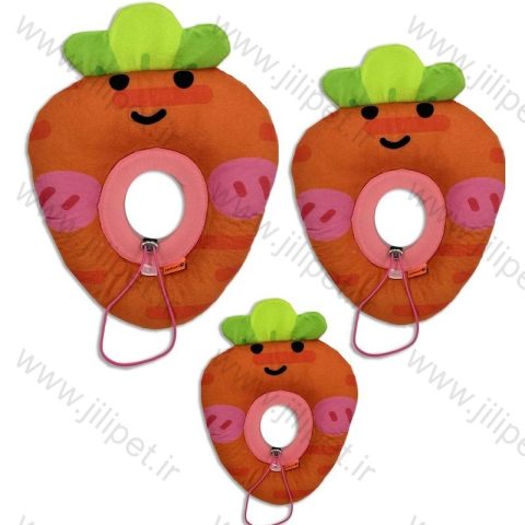 الیزابت طرح میوه ای بزرگ