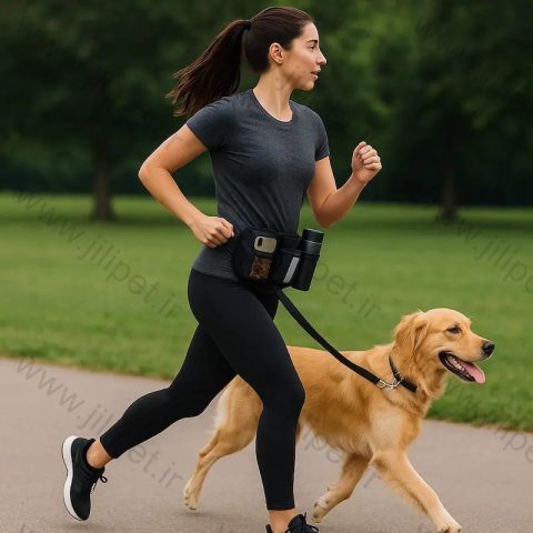 کمربند واکینگ