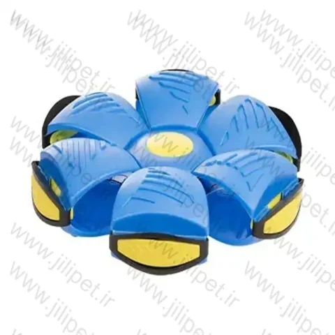 توپ دیسکبال