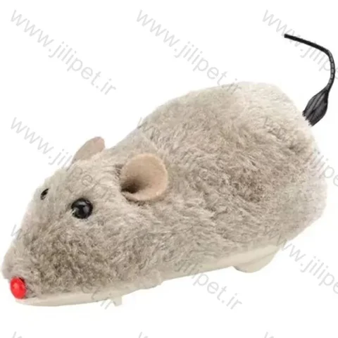 موش کرم و طوسی