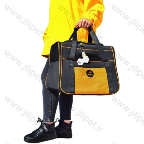 کیف حمل مدل Neil Ld19 M