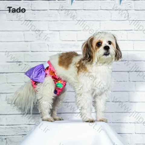 شورتکس سگ طرح دار دامنی XL