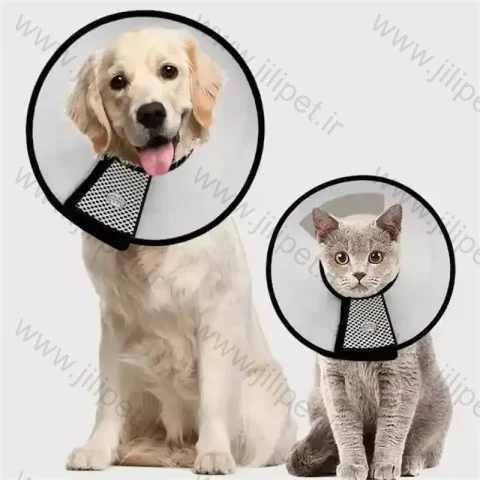 گردنبند الیزابت چسبی 5