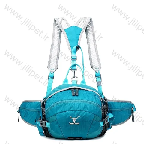 کیف کمری پکینیو