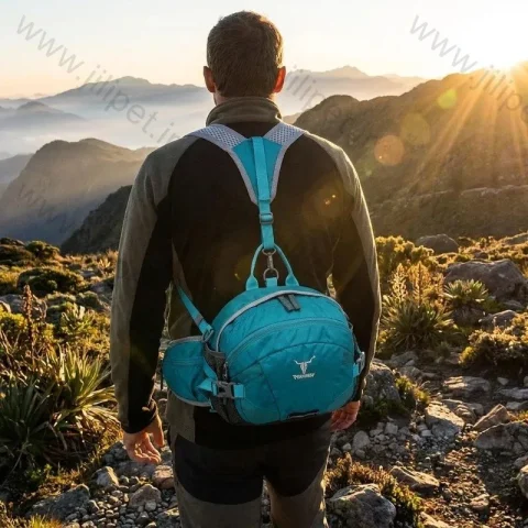 کیف کمری پکینیو - تصویر دوم